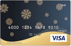Visa Gift Card